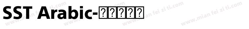 SST Arabic字体转换